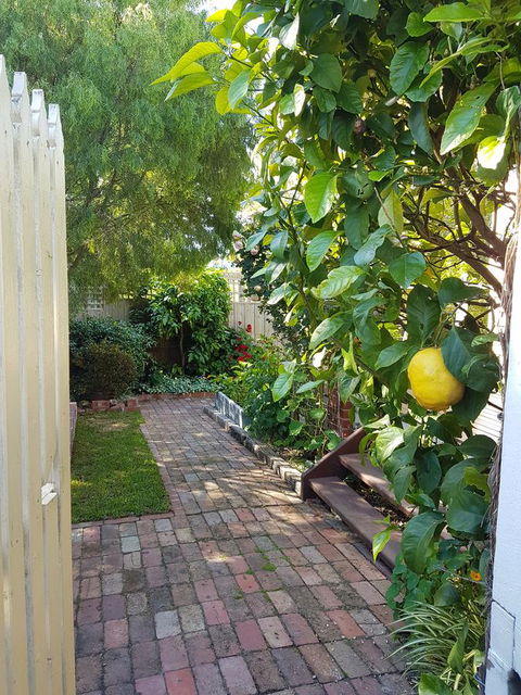Healesville House - Fig Tree House - Perths Hotel 17