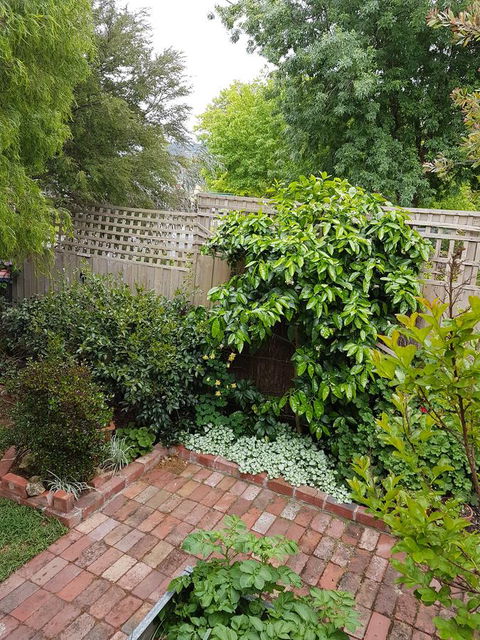 Healesville House - Fig Tree House - Perths Hotel 21
