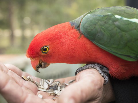 Gipsy Point Lodge & Cottages - Perths Hotel 17