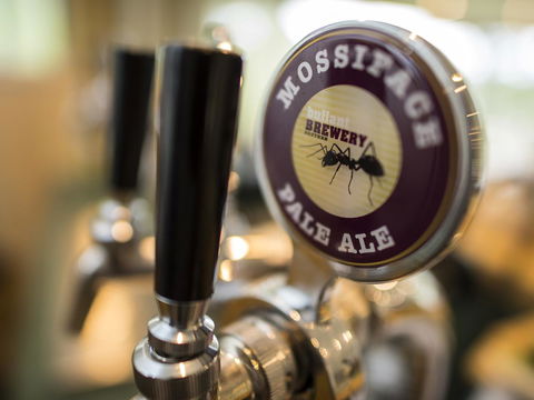 Gipsy Point Lodge & Cottages - Perths Hotel 16