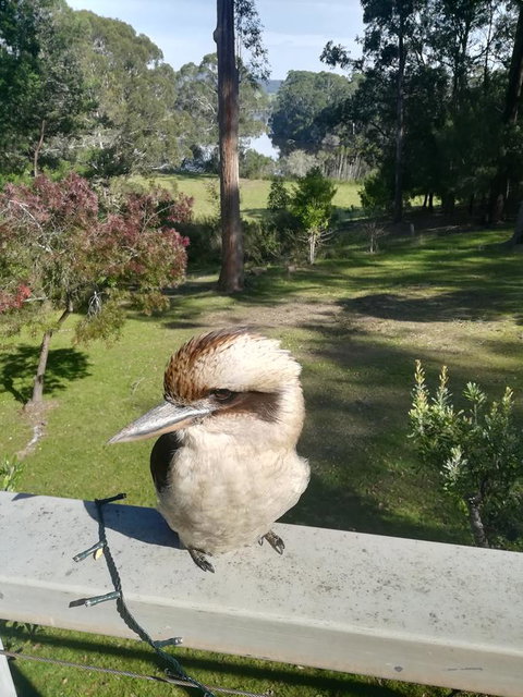 Gipsy Point Lodge & Cottages - Perths Hotel 8