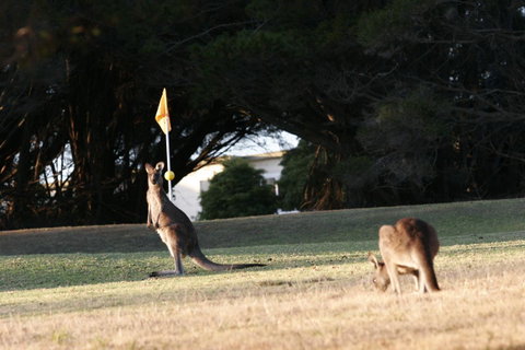 Lakeside At Mallacoota - Perths Hotel 37