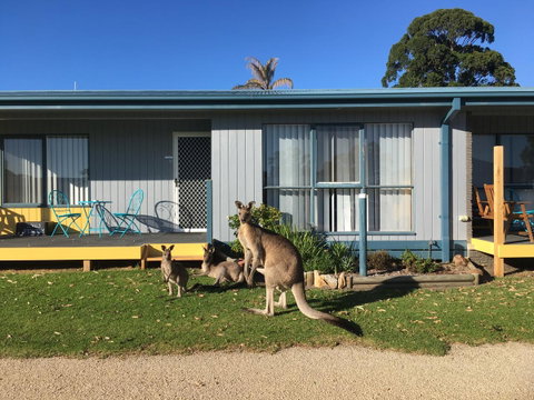 Lakeside At Mallacoota - Perths Hotel 15