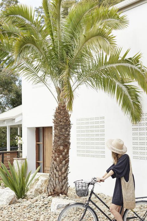 The Brunswick, Brunswick Heads - Perths Hotel 2