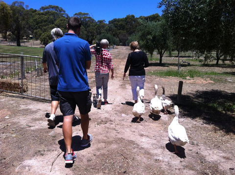 The Farm Willunga - Perths Hotel 1