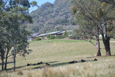 The Homestead At Holmeslgen At Eildon - Perths Hotel 1