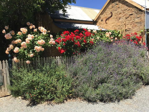 The Olde Devonshire House - Perths Hotel 2