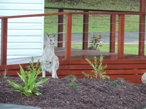 The Pouch B & B - Perths Hotel 1