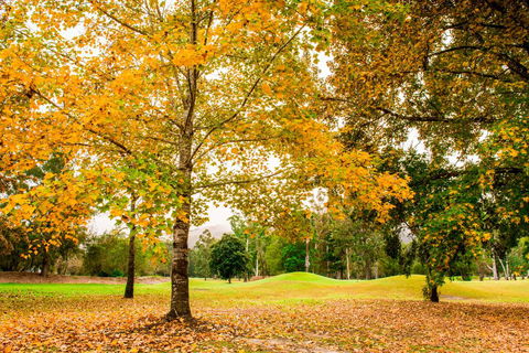 The Retreat At Wisemans - Perths Hotel 1