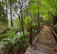 The Source Otways - Perths Hotel