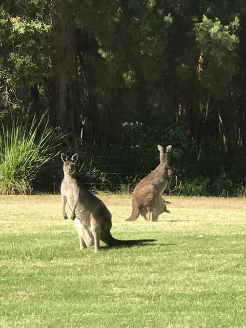 Tinglewood Cabins - Perths Hotel 2