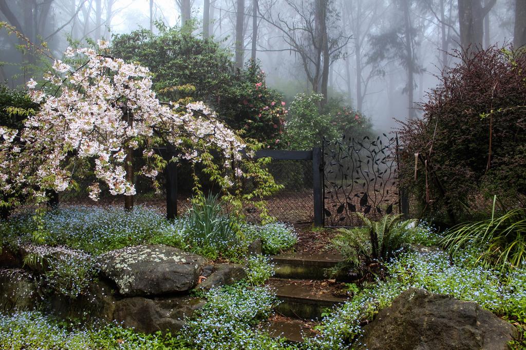 Mount Tomah NSW Perths Hotel
