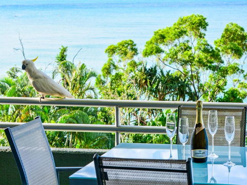 Top Floor Hibiscus Apartment 208 - Perths Hotel 3
