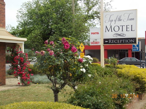 Top Of The Town Motel - Perths Hotel 3