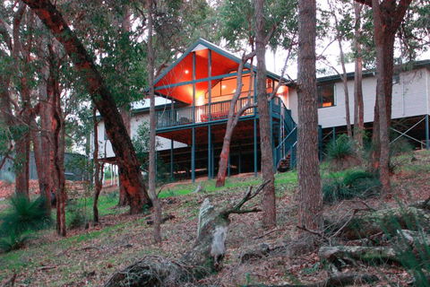 Treehouse - 3 Acre Elevated Nature Setting - Perths Hotel 3