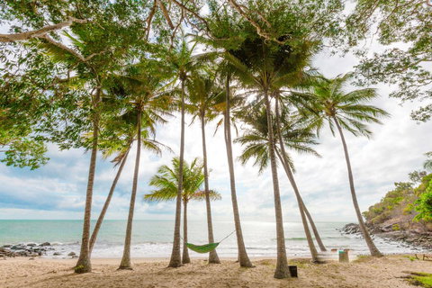 Turtle Cove Beach Resort - Adults Only LGBTQIA & Allies - Perths Hotel 3