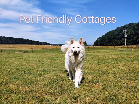Twelve Apostles Motel & Country Retreat - Perths Hotel 2