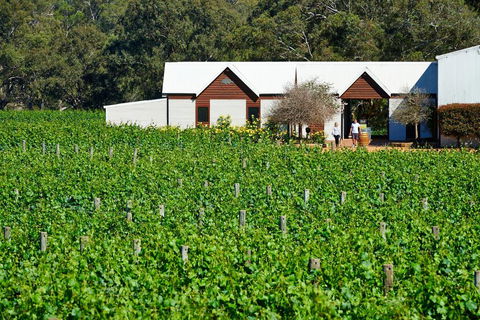 Upper Reach Spa Cottage - Perths Hotel 0