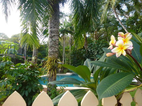 Villa Marine Holiday Apartments Cairns - Perths Hotel 1