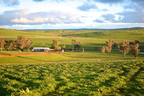 Wantana Cottage Farmstay - Perths Hotel 0