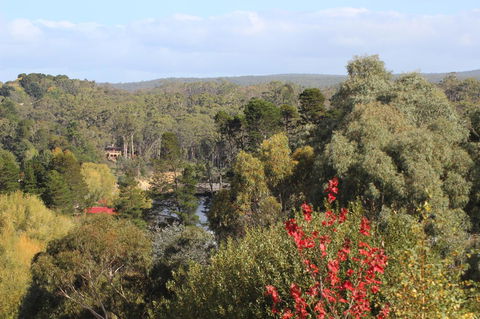 The Orchard - Perths Hotel 28