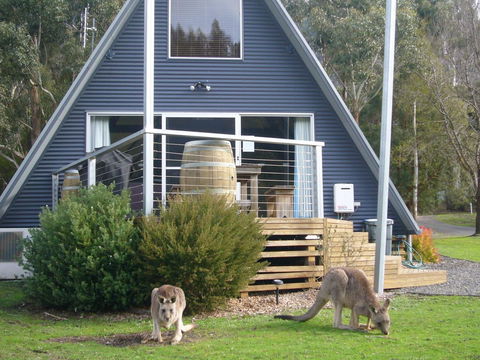 The A-Frame - Perths Hotel 10