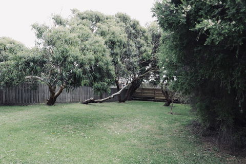 Red Ceder Cottage - Great Ocean Road - Port Campbell - Perths Hotel 24