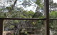 Elevated Holiday House Overlooks Tranquil Wetlands - thumb 10