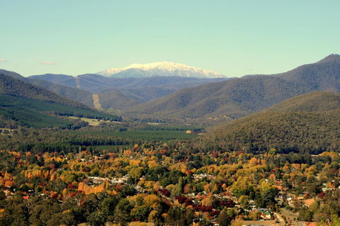 3 Bells Alpine Cottage - Perths Hotel 24