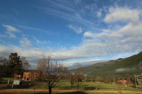 3 Bells Alpine Cottage - Perths Hotel 26