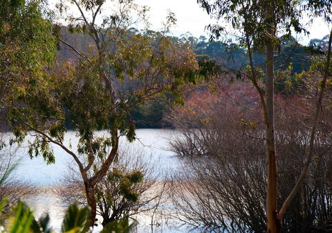 Lake Como Villa - Perths Hotel 10