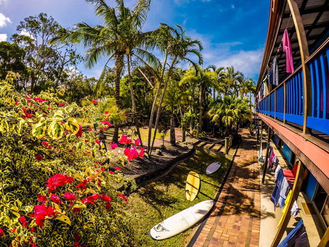Cool Bananas Backpackers - Perths Hotel 17