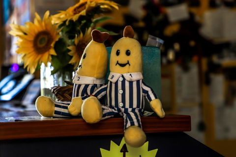 Cool Bananas Backpackers - Perths Hotel 30