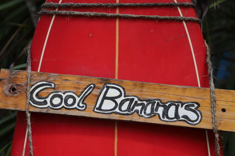 Cool Bananas Backpackers - Perths Hotel 41
