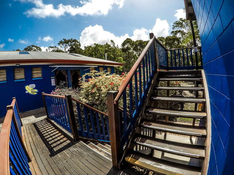 Cool Bananas Backpackers - Perths Hotel 27
