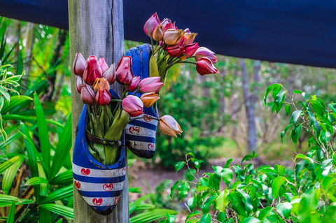Cool Bananas Backpackers - Perths Hotel 26
