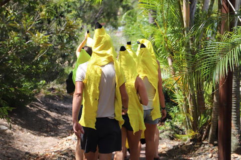 Cool Bananas Backpackers - Perths Hotel 19
