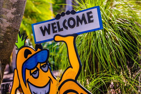 Cool Bananas Backpackers - Perths Hotel 37