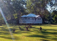 Book Peregian Beach Accommodation Vacations Perths Hotel Perths Hotel