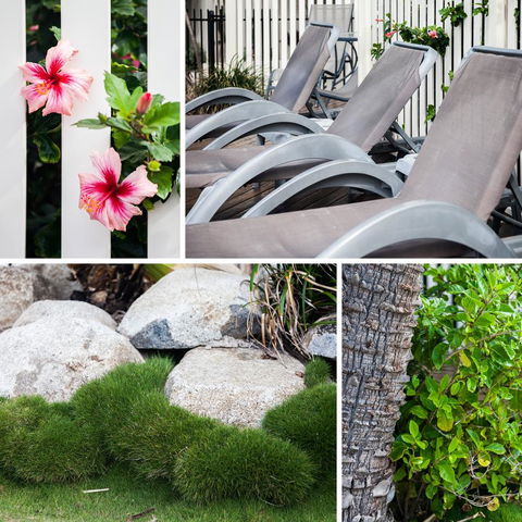 Coolum Caprice - Perths Hotel 22