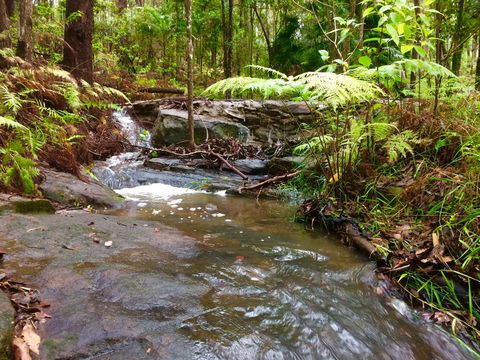 Noosa Hinterland Retreat - Perths Hotel 12