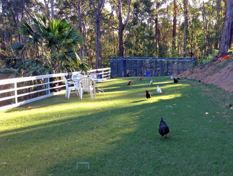 Noosa Hinterland Retreat - Perths Hotel 11