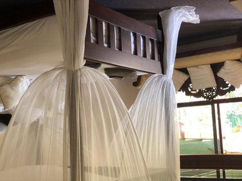 The Bearded Dragon Boutique Hotel - Perths Hotel 2