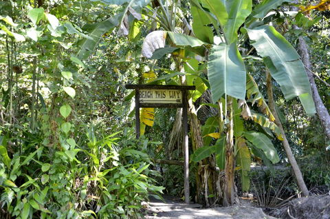 PK\'s Jungle Village - Perths Hotel 23