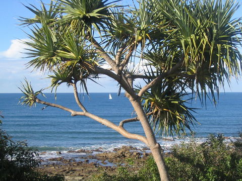 Headland Tropicana Resort - Perths Hotel 39