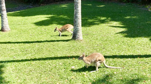 Argosy On The Beach - Perths Hotel 15