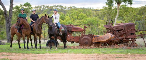 Ironbark House - Perths Hotel 8