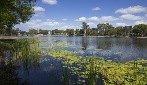 Jacana Apartments - Perths Hotel 15