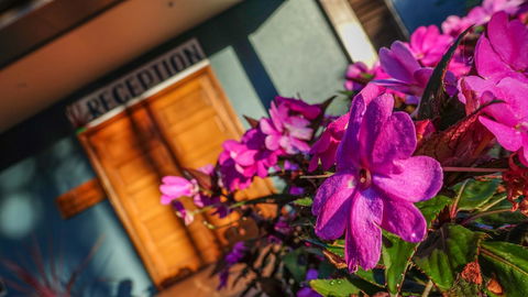 Blue Summit Hideaway - Perths Hotel 33