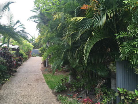 Casuarina - Perths Hotel 21